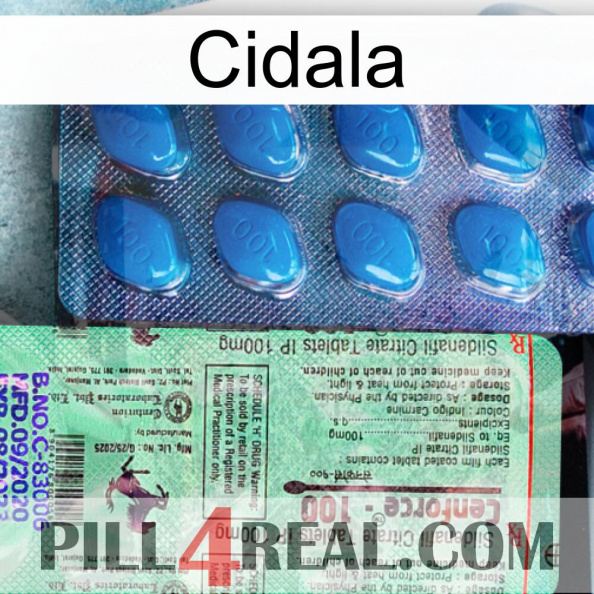 Cidala new02.jpg